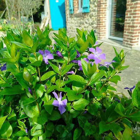 évasion En Bord De Rivière Fécamp Etretat Casa vacanze